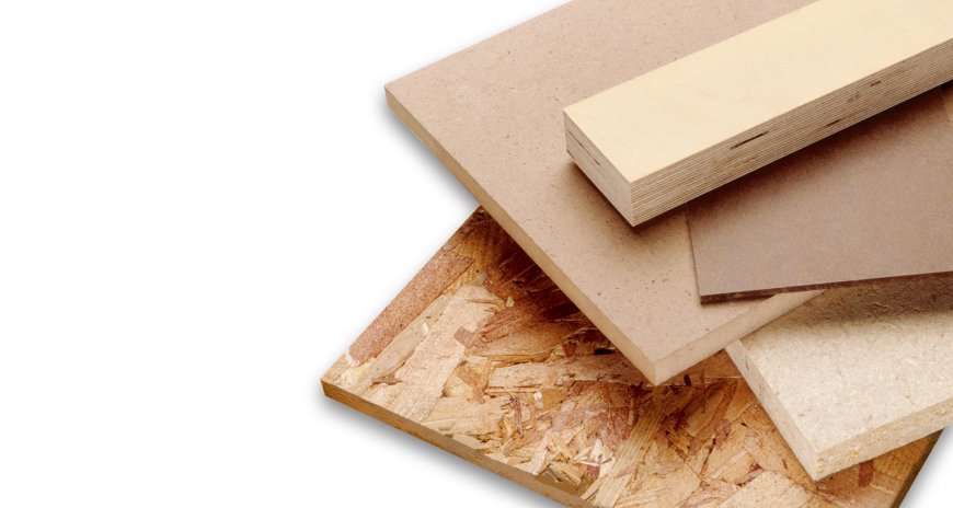 Felder Group Expands Global Reach and Showcases Innovations in Woodworking Machinery at IndiaWood 2025