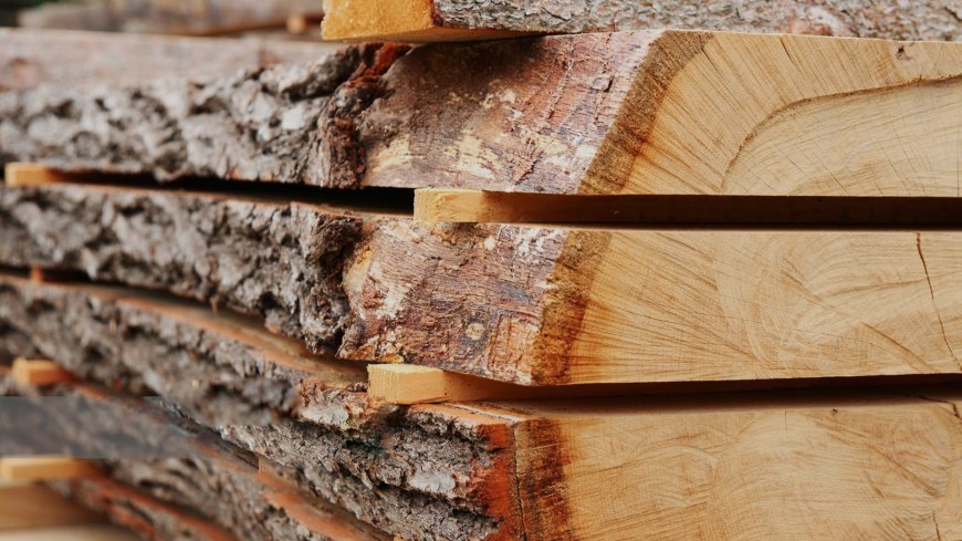 Felder Group Expands Global Reach and Showcases Innovations in Woodworking Machinery at IndiaWood 2025