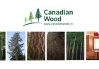 Building a Sustainable Future with Canadian Wood