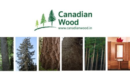 Building a Sustainable Future with Canadian Wood