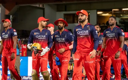RCB सबसे महंगी IPL टीम:₹16.71 हजार करोड़ में आदित्य बिड़ला, टाइम्स ग्रुप समेत 4 कंपनियों ने खरीदा; राजस्थान रॉयल्स 15 हजार करोड़ में बिकी